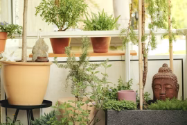 La nature en ville réduit le stress de 30% pour les urbains