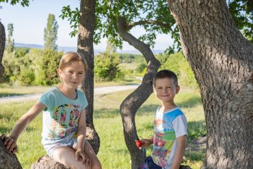Comment faire un arbre généalogique avec des enfants