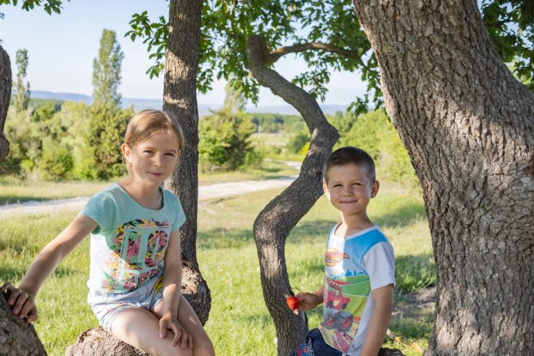 Comment faire un arbre généalogique avec des enfants